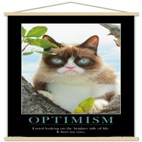 Гръмна котка - по -яркият плакат за странична стена с дървена магнитна рамка, 22.375 34