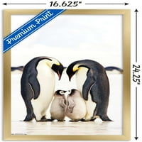 Група за стенен плакат на император Penguins, 14.725 22.375