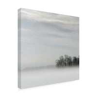 Никълъс Бел' езеро от мъгла ' платно изкуство