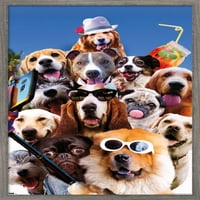 Джеймс Букър - Плакат за стена за кучета, 14.725 22.375